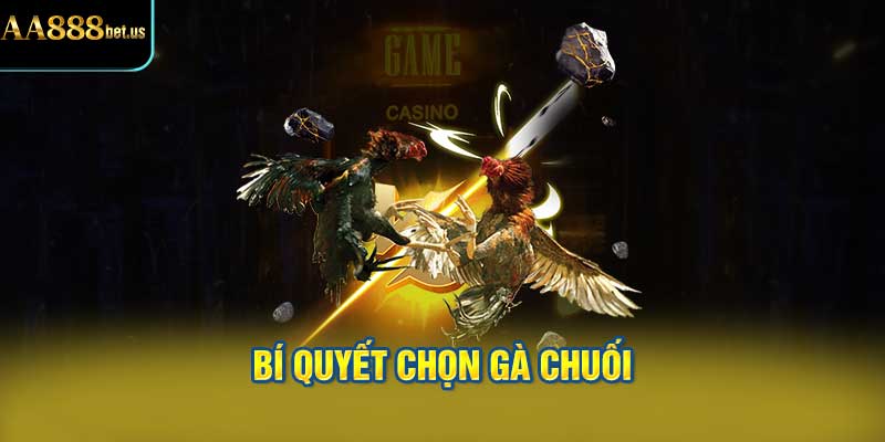 Bí Quyết Chọn Gà Chuối Tài Giỏi Từ Cao Thủ AA88
