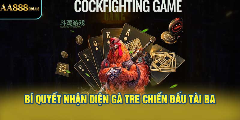 Bí Quyết Nhận Diện đá Gà Tre Chiến Đấu Tài Ba