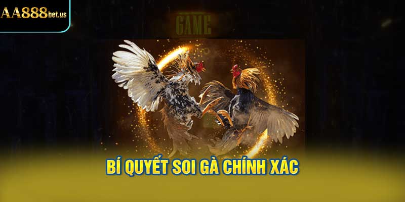 Bí Quyết Soi Gà Chính Xác
