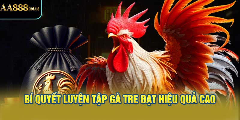 Bí Quyết Luyện Tập Gà Tre Đạt Hiệu Quả Cao