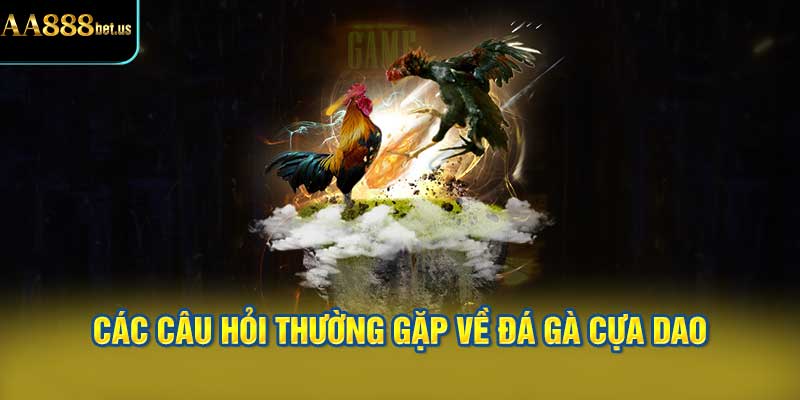 Các Câu Hỏi Thường Gặp Về Đá Gà Cựa Dao
