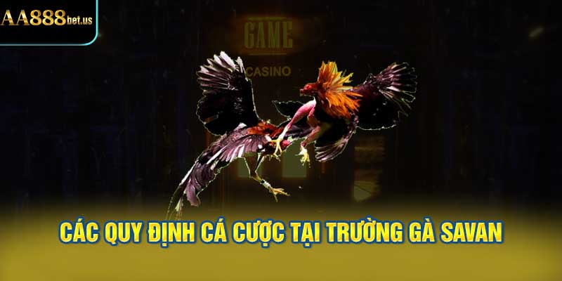 Các Quy Định Cá Cược Tại Trường Gà Savan