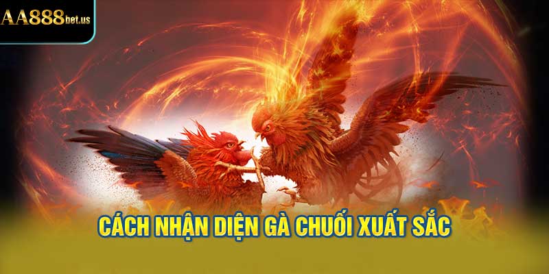 Cách Nhận Diện Gà Chuối Xuất Sắc