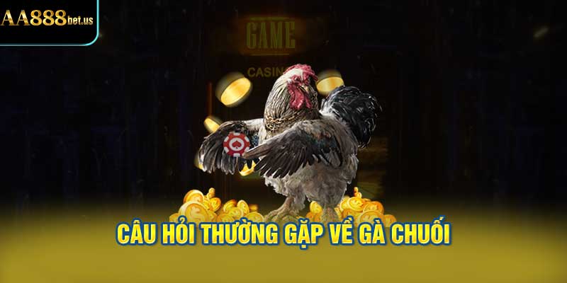 Câu Hỏi Thường Gặp Về Gà Chuối