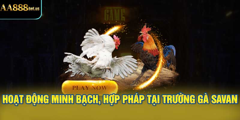 Hoạt Động Minh Bạch, Hợp Pháp tại Trường Gà Savan